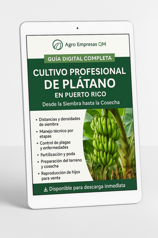 Guía Digital Completa: Cultivo de Plátano en Puerto Rico